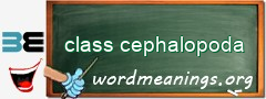 WordMeaning blackboard for class cephalopoda